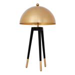 Лампа настольная Table Lamp Coyote арт.113929