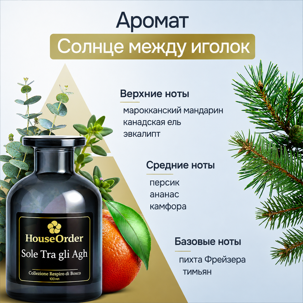 Аромадиффузор HouseOrder «Солнце между иголок» с палочками, 100 мл