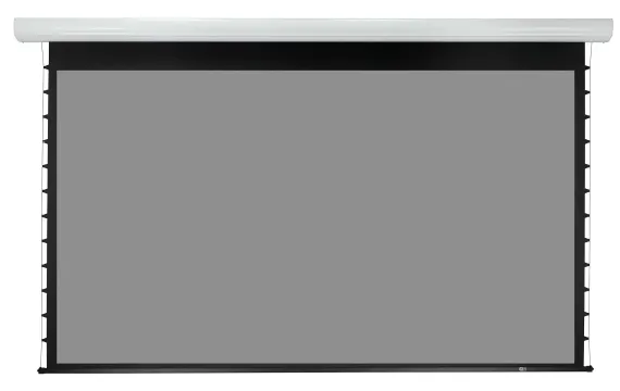 LMBC-100305 Экран с электроприводом Lumien Master Business Control