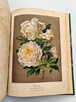 "Nestel`s Rosengarten. [  Сад роз Нестела]". E. Schweizerbartsche Verlagshandlung. 1869г.