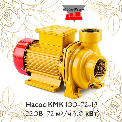 Насос КМК 100-72-19 (220В, 72 м³/ч 3,0 кВт)