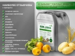 GSN-2004 Активатор роста растений, иммуностимулятор, антистресс, антидот