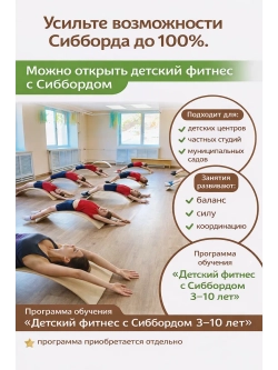 Сибборд FELT балансборд , балансировочная доска