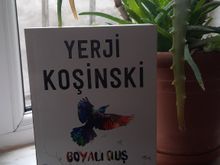 Boyalı quş