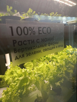 Ситиферма Greenbar- LUX3 ПАК для выращивания зелени и пряных трав