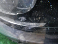 DSCN1440.JPG