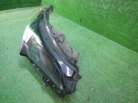 DSCN5648.JPG