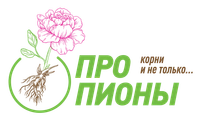 Про Пионы