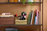 Конструктор LEGO Icons 10375 Как приручить дракона: Беззубик