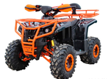 Квадроцикл IRIDE IRIDE RINO SUPER 125 3+1
