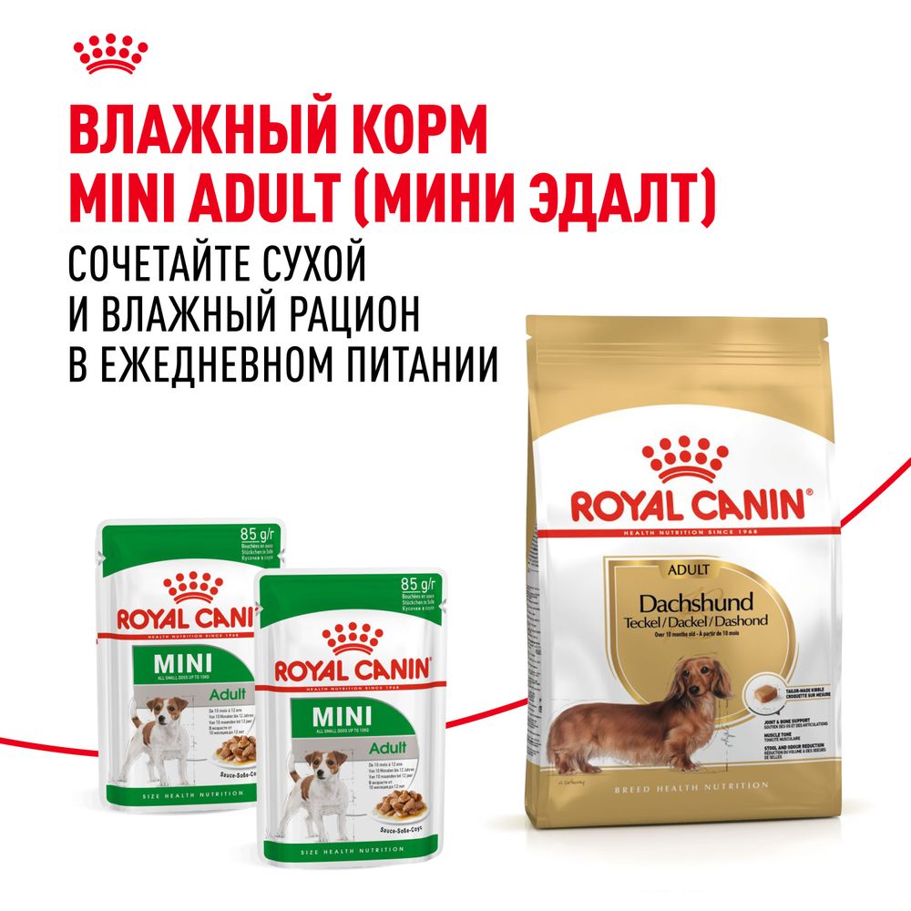 Сухой корм Royal Canin Dachshund Adult для взрослых собак породы Такса от 10 месяцев