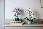 Конструктор LEGO Botanical Collection 10372 Гибискус
