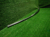 DSCN7293.JPG
