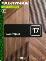 Таблички с номером аудитории "Аудитория №17", для офиса, 30 х 10 см, серия COSMO 3010, черная, Айдентика Технолоджи