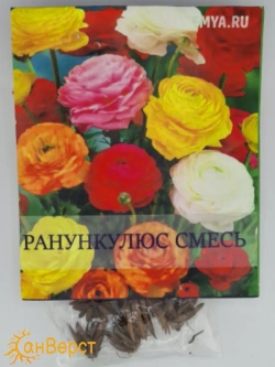 Ранункулюс луковицы многолетние - 10 шт. Микс цветов