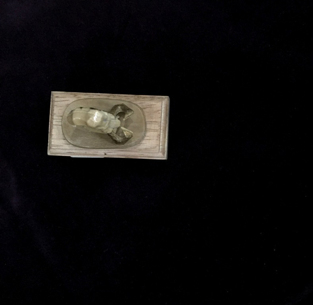 "Мамонт"