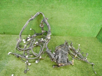 DSCN2309.jpg