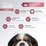 Сухой корм AWARD SPECIAL CARE Sensitive Skin&Coat для взрослых собак всех пород для здоровой кожи и шерсти со свежим лососем 12кг
