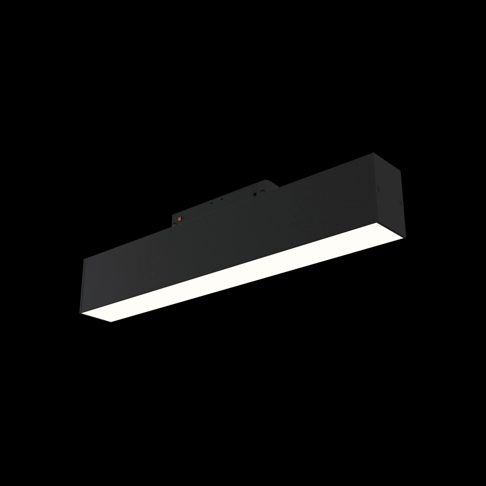 Магнитный трековый светильник Maytoni BASIS TR012-2-12W3K-B