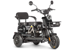 Электротрицикл Wanshida UN MOTO (650Вт, 60B)