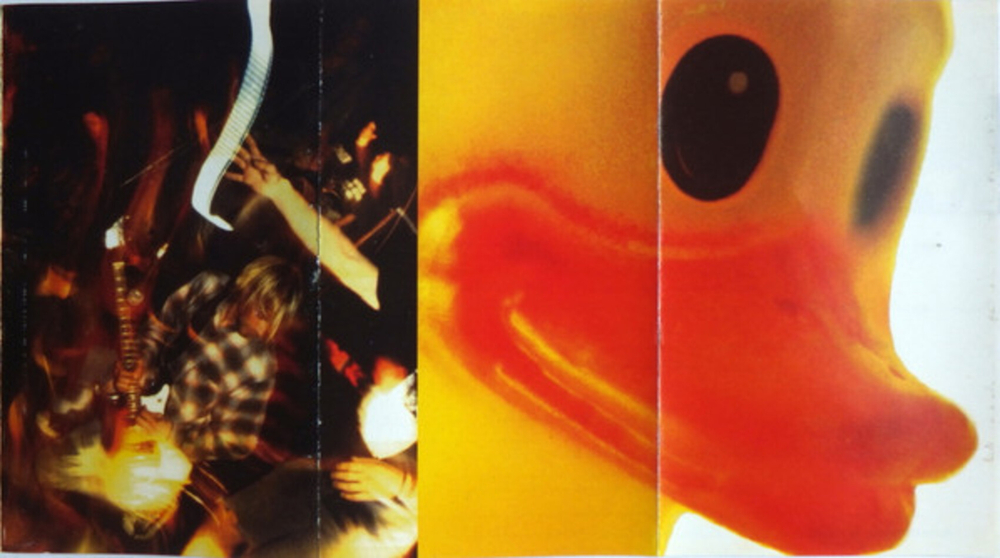 Nirvana / Incesticide (MC)