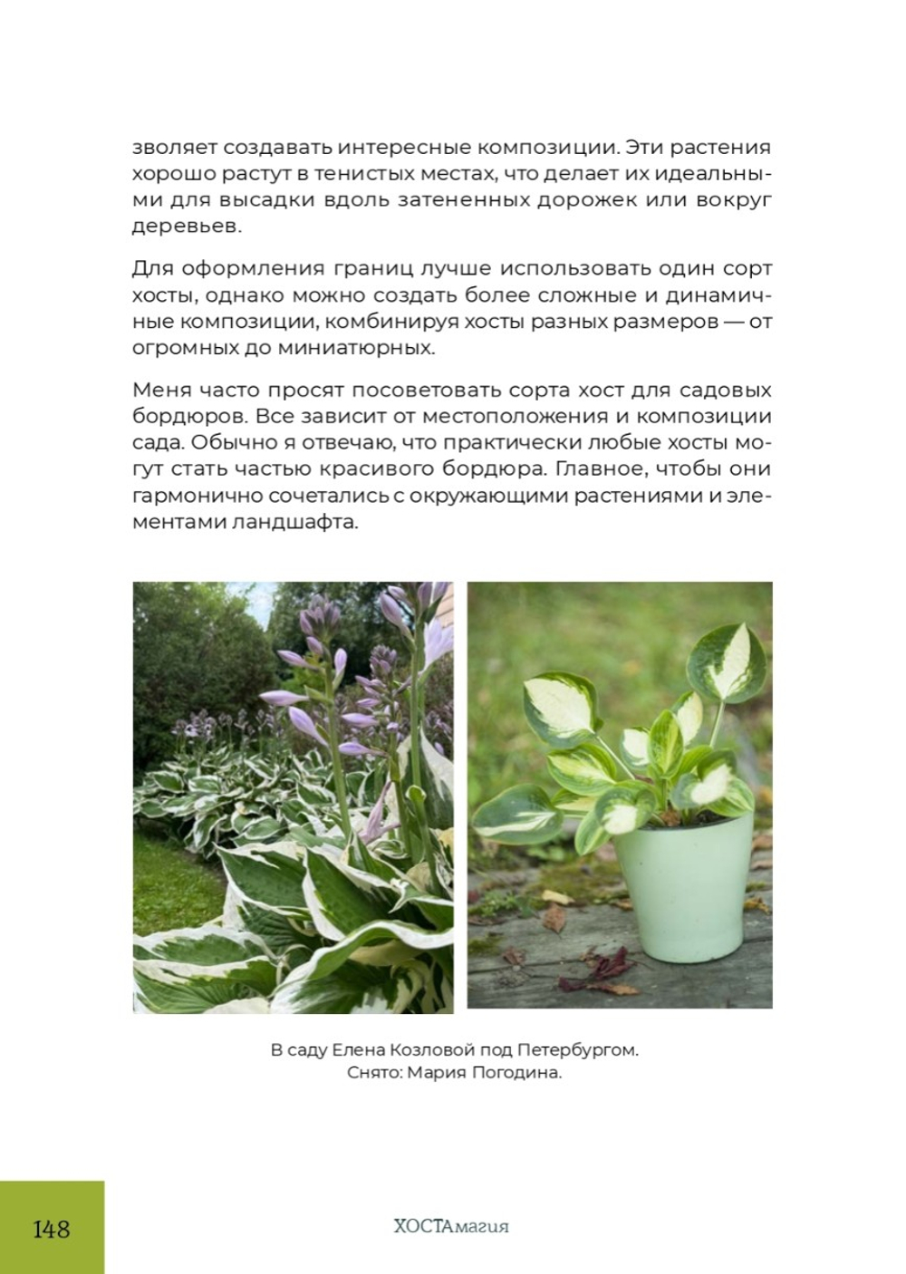 ХОСТАмагия. Катерина Резник
