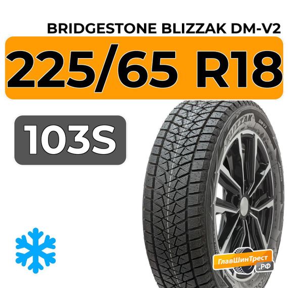 Bridgestone Blizzak DM-V2 225/65 R18 103S