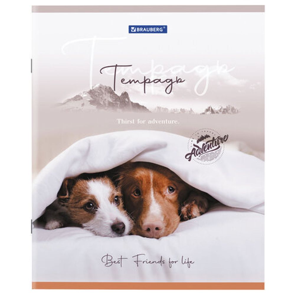 Тетрадь А5 48 л. BRAUBERG скоба, клетка, обложка картон, "Best Friends", 404360, 5шт