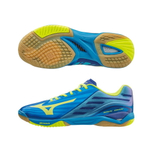 Mizuno WAVE DRIVE Z