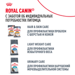 Royal Canin Siamese Adult Сиамиз Эдалт Корм сухой сбалансированный для взрослых сиамских кошек 2кг