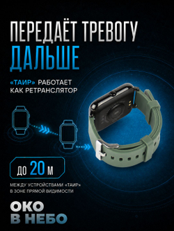 Часы оповещения ТАИР для детектора Булат v.4 / Марс