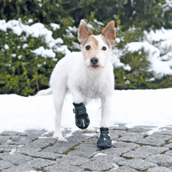 Ботинки для собак Walker Active, 2 шт. Trixie