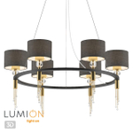 Подвесная люстра Lumion SANTIAGO 4516/6