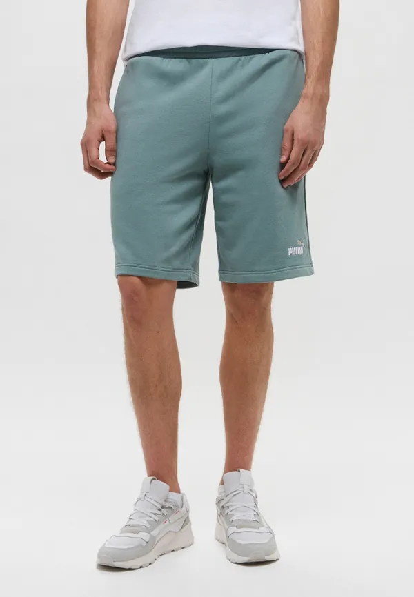Шорты спортивные мужские PUMA ESS 2 COLOR No. 1 Logo Shorts 10" TR