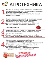 Семена Томат Бычье сердце, 0,1 г
