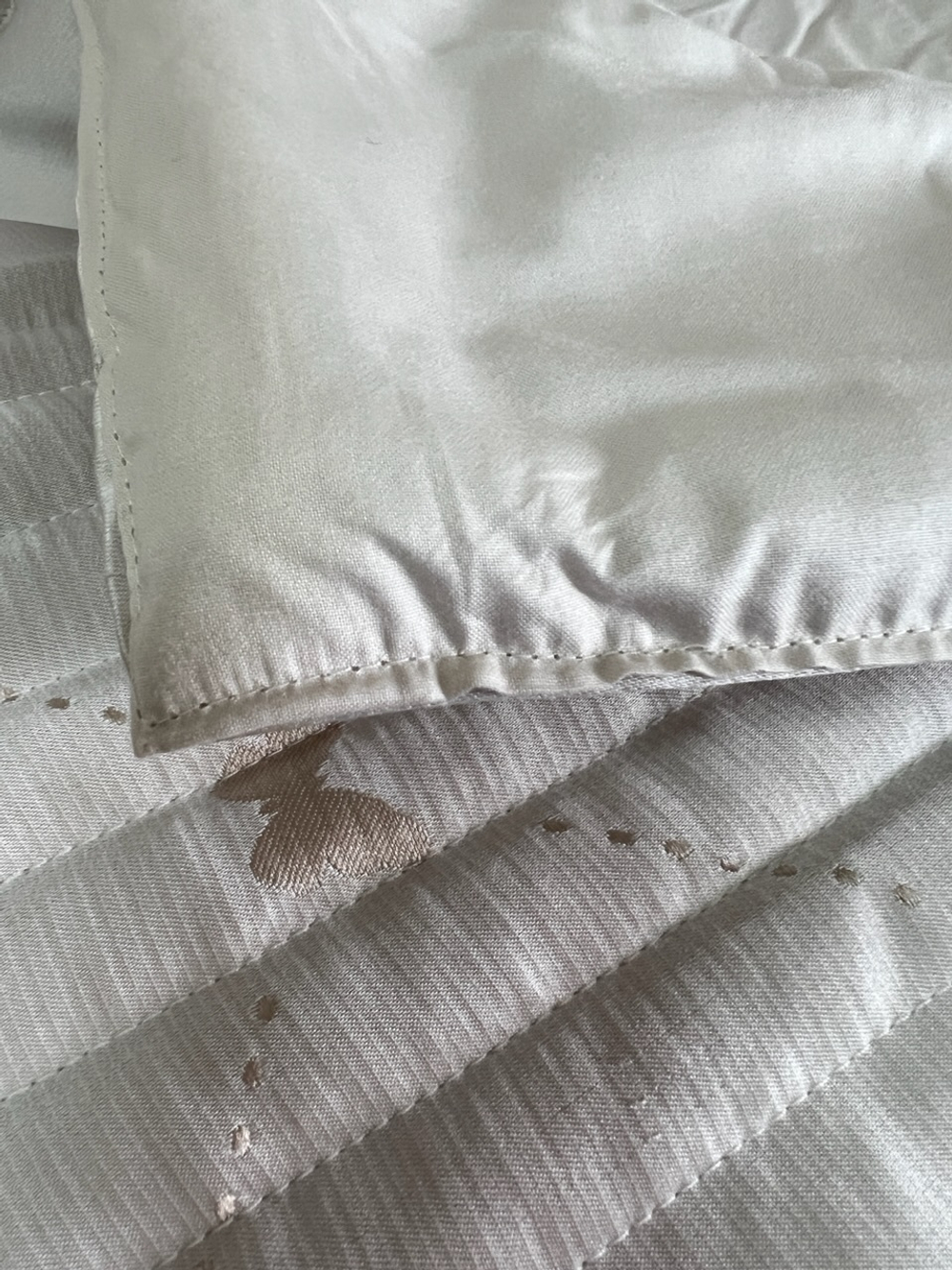 Покрывало 270х270 Blumarine Livia cera