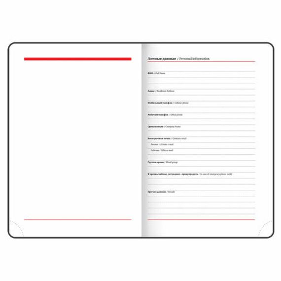 Gündəlik/Ajanda/Ежедневник/Diary Ежедневник недатированный А5 VISTA  Eye