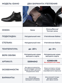 Мужские кожаные демисезонные ботинки на байке, Айдахо V9020B, черные