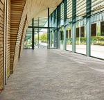 marmoleum vivace