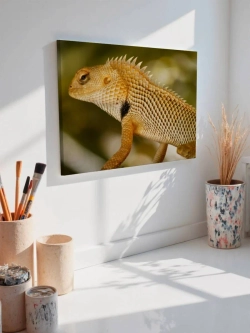 Картина на стену 40 X 50 Бородатая ящерица