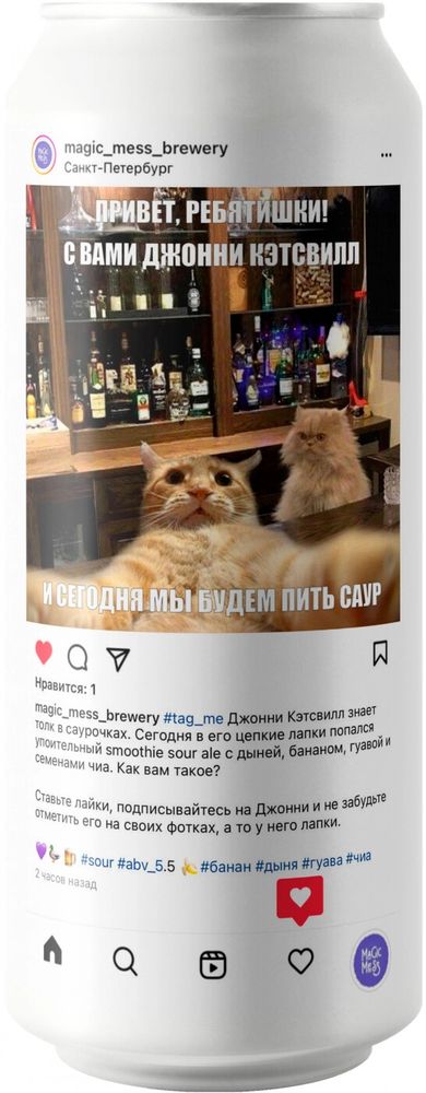 Пивной напиток Мэджик Месс Таг Ми 0,45 л ж/б 5,5% Мэджик Брювери Россия