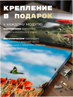Картина Алые сияния модульная 50x70см 3шт.