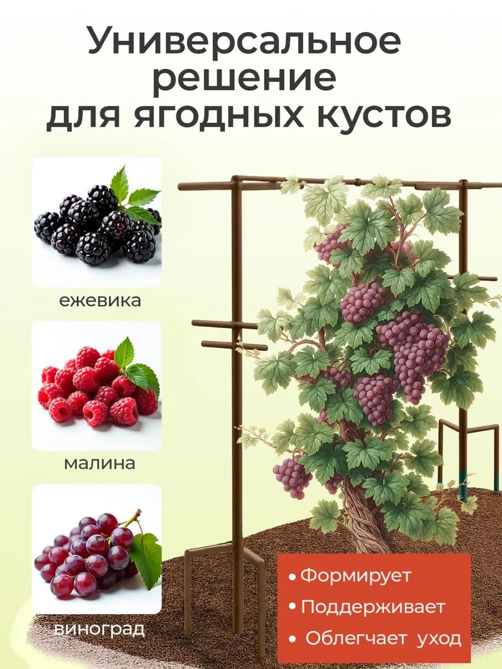 Распорная планка для шпалеры для малины