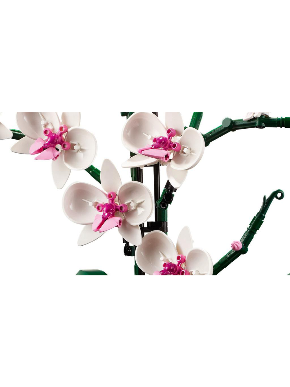 Конструктор Лего Ботаникалс коллекция Орхидея | LEGO Botanicals Orchid , 608 деталей (18+) 10311_УЦЕНКА