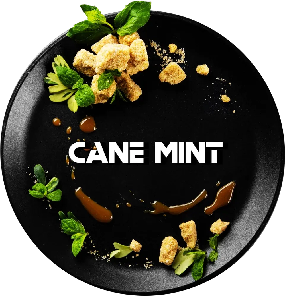 Black Burn - Cane Mint (25г)