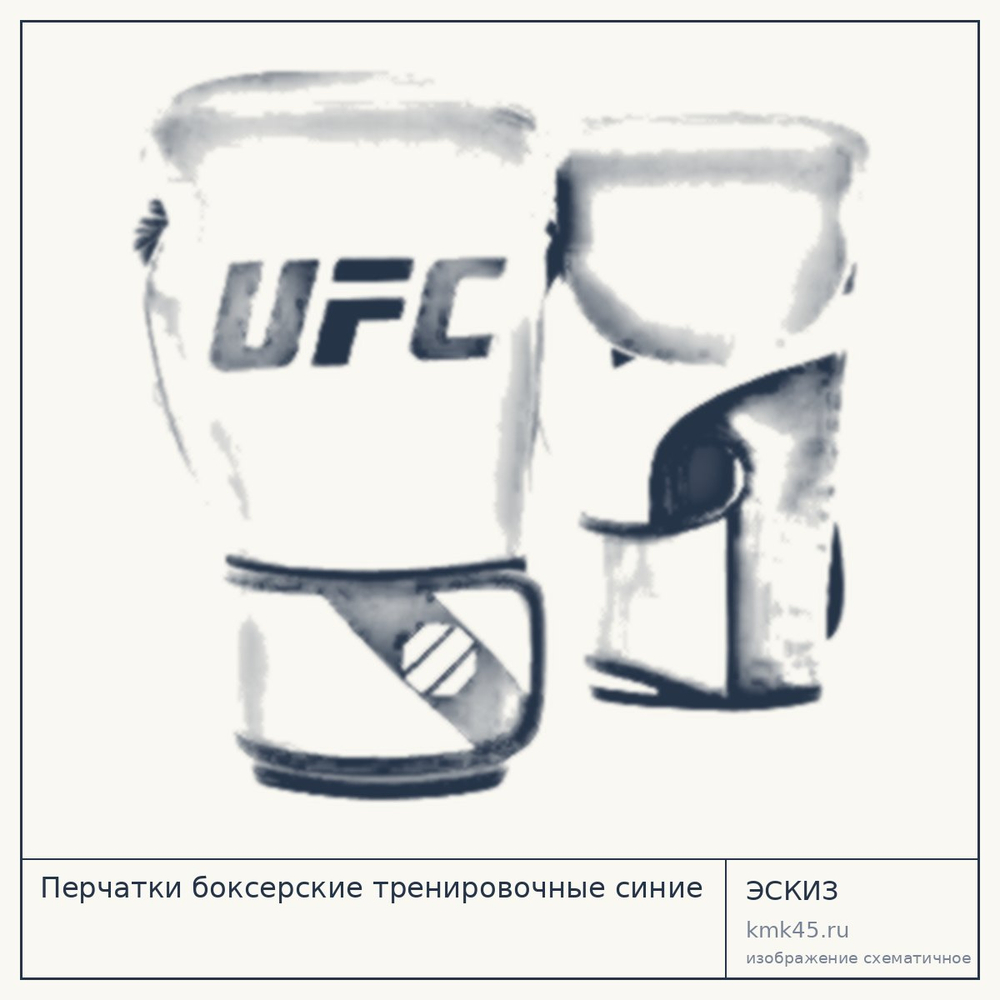 Перчатки боксерские тренировочные синие — от 4 200 ₽