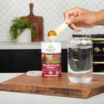 Organic India, Органический порошок подорожника, 170 г (6 унций)