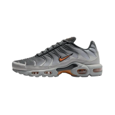 Air Max Plus Platinum Grey