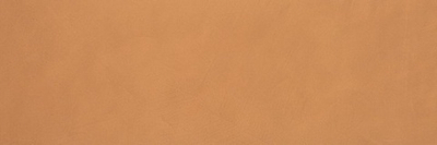 Керамическая плитка для стен Color Now Curcuma 30.5x91.5